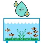 Cara Menjaga Keseimbangan pH Air di Akuarium
