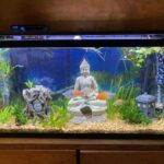 Aquarium lighting quick guide fish views lightingequipmentsales