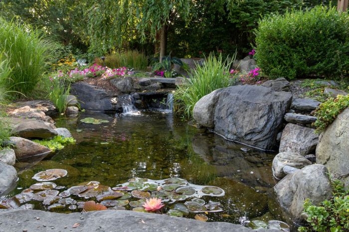 Cara Membuat Kolam Ikan Taman yang Indah