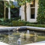 Pond clean keep tips water beverlyhillsmagazine