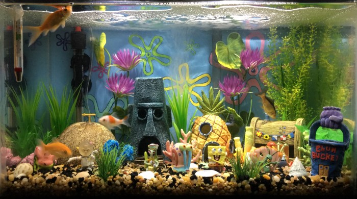 Aquarium fish tank decor ideas unique aquariums tanks decorations freshwater decoration designs fresh decorating water wallpaper planted large full other